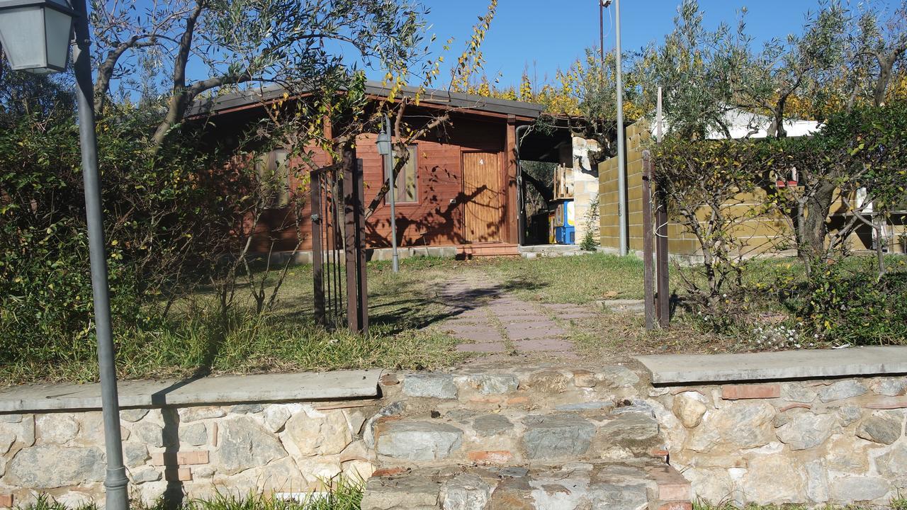 Agriturismo Masseria I Risi Guest House SantʼEufemia Lamezia Exterior foto
