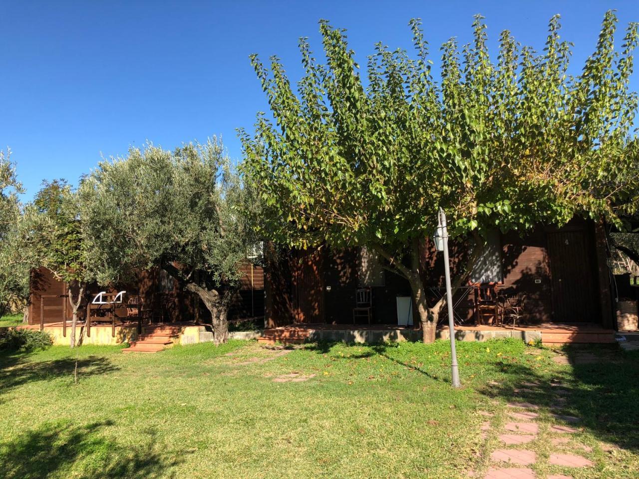 Agriturismo Masseria I Risi Guest House SantʼEufemia Lamezia Exterior foto