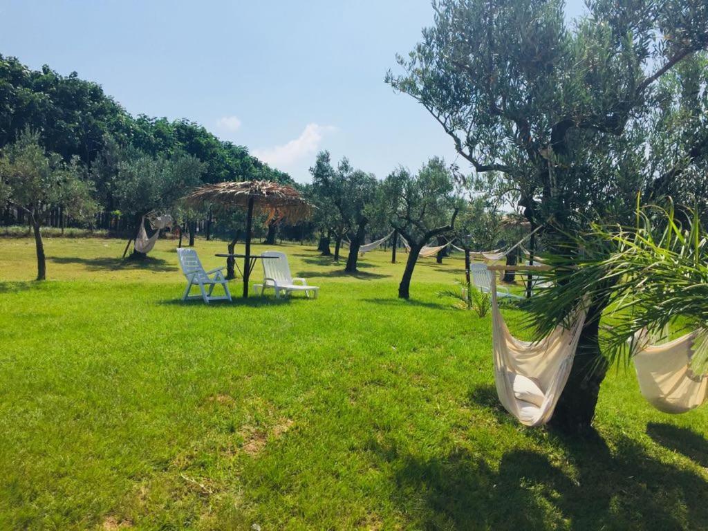 Agriturismo Masseria I Risi Guest House SantʼEufemia Lamezia Exterior foto